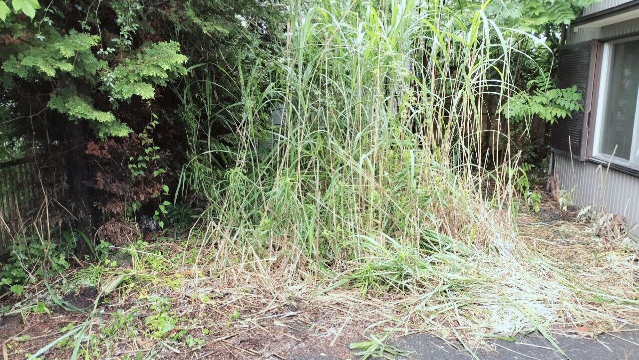 世田谷区上祖師谷で相続した一戸建てとアパートの売却